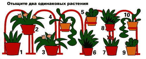 развитие внимания у детей, диагностика
